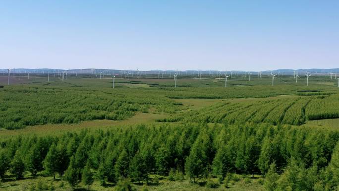 4K树林、风力发电
