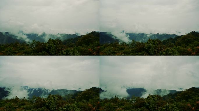 雨后山谷里的雾实拍视频