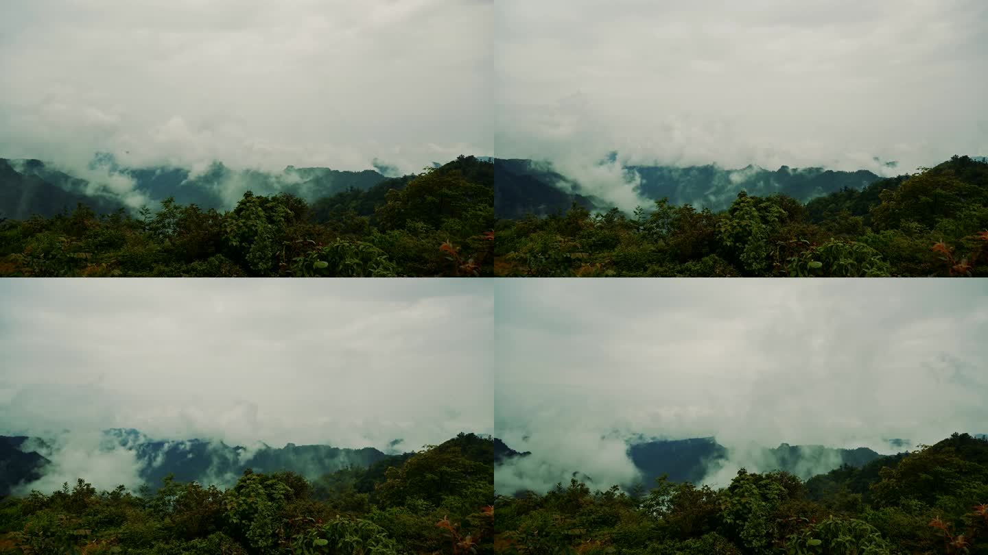 雨后山谷里的雾实拍视频