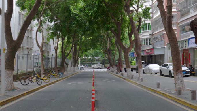 干净的街道慵懒的午后生活气息