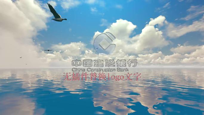 4K水珠logo大海海鸟展示