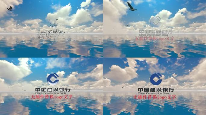4K水珠logo大海海鸟展示