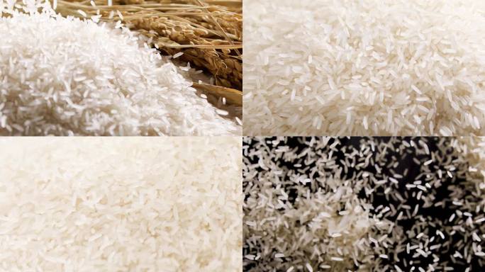 米粒大米粮仓农业稻谷水稻丰收