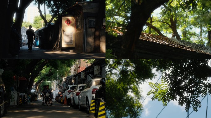 （4k电影感）胡同人文生活光影烟火气