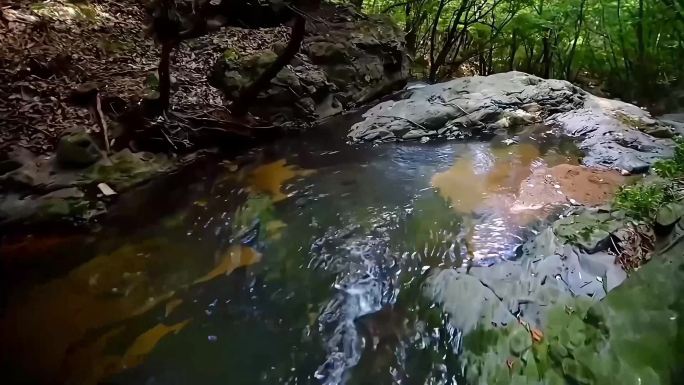 溪水山泉-绿色生态