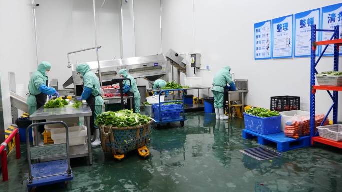 净菜工厂对蔬菜进行清洗