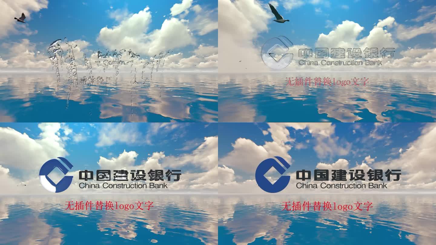 4K水珠logo大海海鸟展示