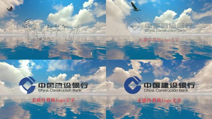 4K水珠logo大海海鸟展示