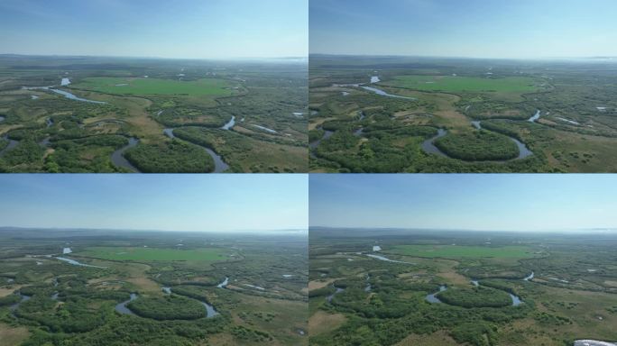 扎敦河湿地初夏风光