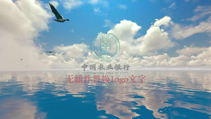 4K水珠logo大海海鸟展示