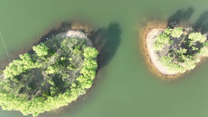 航拍山东荣成西霞口海驴岛码头外的海鸥湖