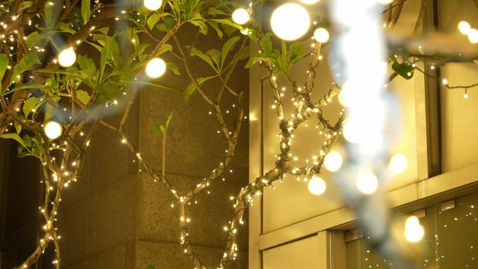 晚上树上装饰灯