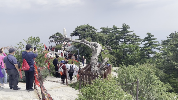 爬华山全民健身登高登山道爬山人群华山风景