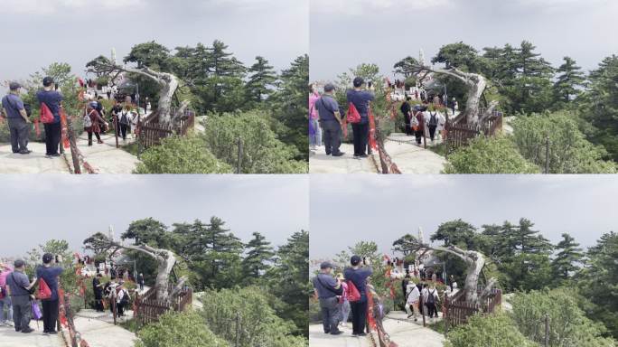 爬华山全民健身登高登山道爬山人群华山风景