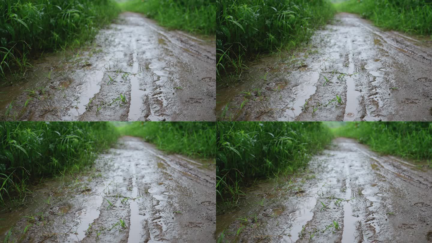 生态自然下雨脚印雨声