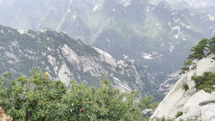 爬华山全民健身登高登山道爬山人群华山风景