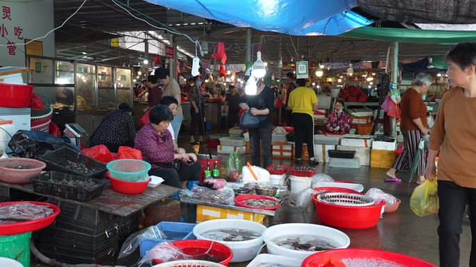 福建漳州菜市场 海鲜市场 鱼虾鲍鱼扇贝