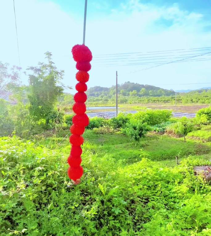 夏天一抹红,野果