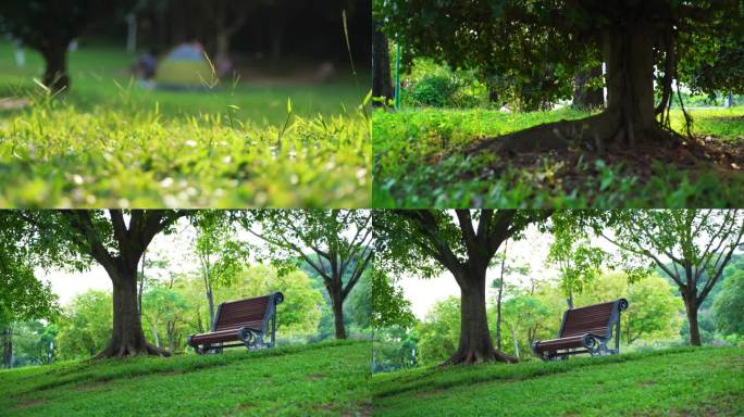 夏天森林公园公园座椅意境空镜