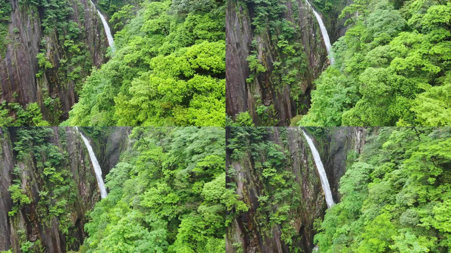 【4k无水印】航拍山谷瀑布水流