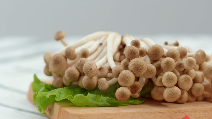 4K-蟹味菇 海鲜菇 食谱