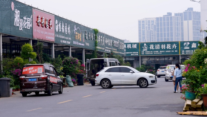 开福花卉宠物市场+已调色