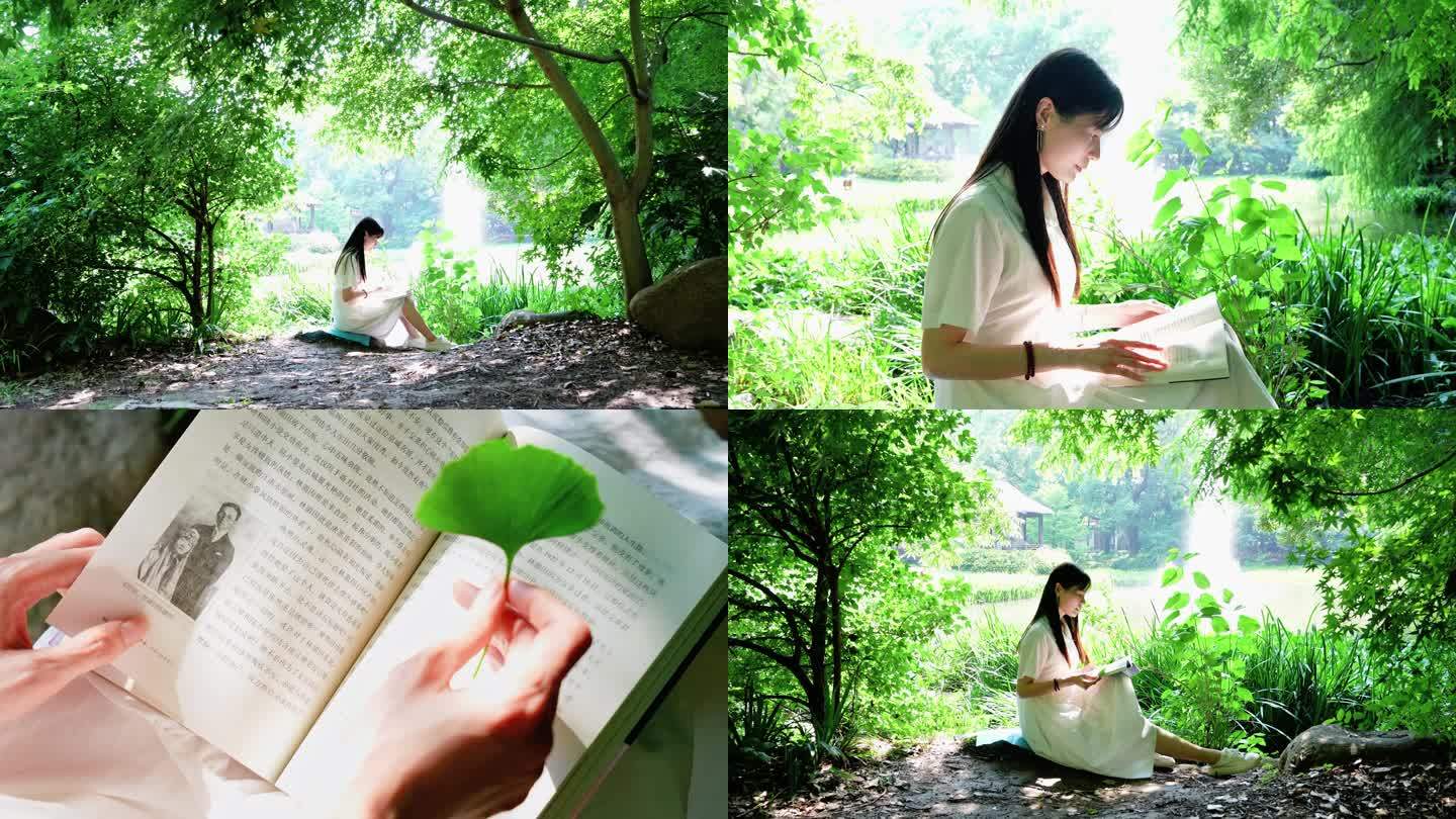 绿色林荫中读书的白衣少女