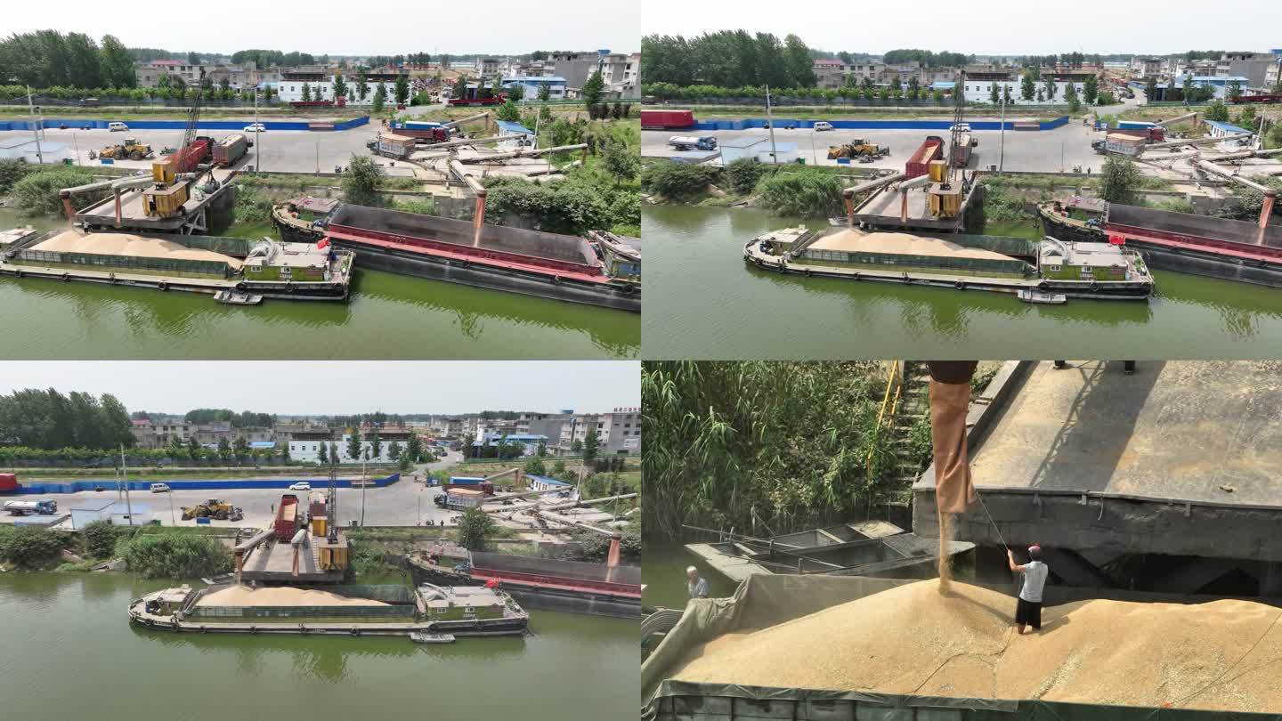 涡河码头小麦装船运输水运 船舶运输小麦
