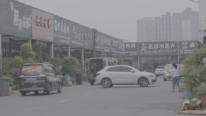 开福花卉宠物市场+未调色