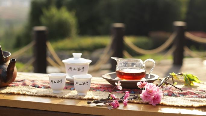 茶艺师展示茶艺讲解盖碗茶茶具特写镜头1