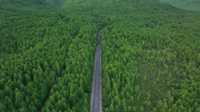 航拍山谷绿色林海山路