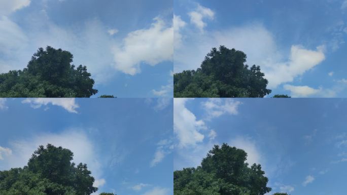树木为背景6月17号天空延时摄影下午3点
