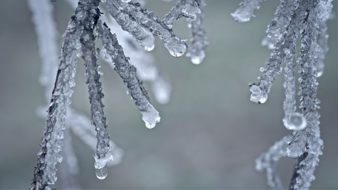 水春春天冰冰雪融化水滴滴水融化雪消融冰川