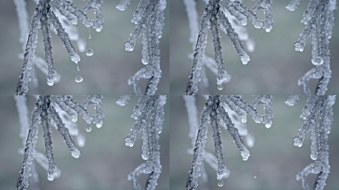 水春春天冰冰雪融化水滴滴水融化雪消融冰川