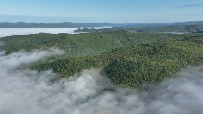 航拍黎明青山森林云海