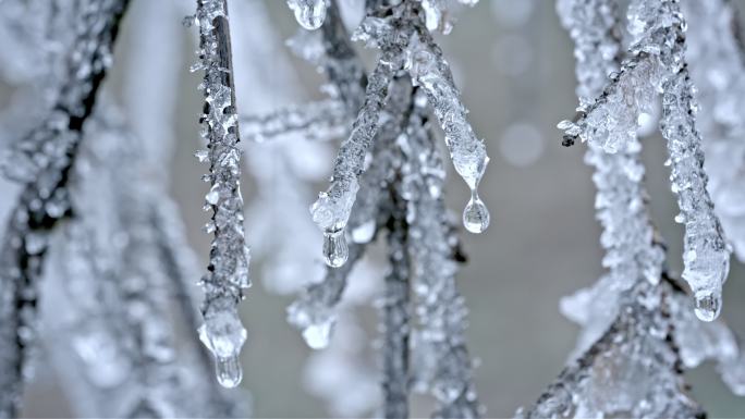 水春春天冰冰雪融化水滴滴水融化雪消融冰川