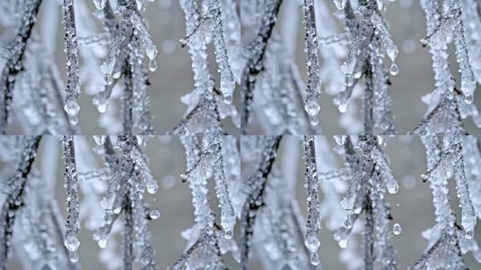 水春春天冰冰雪融化水滴滴水融化雪消融冰川