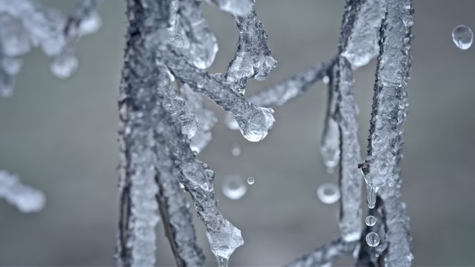 水春春天冰冰雪融化水滴滴水融化雪消融冰川