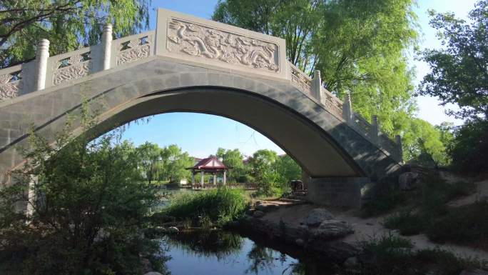 拱桥 公园 水 绿化