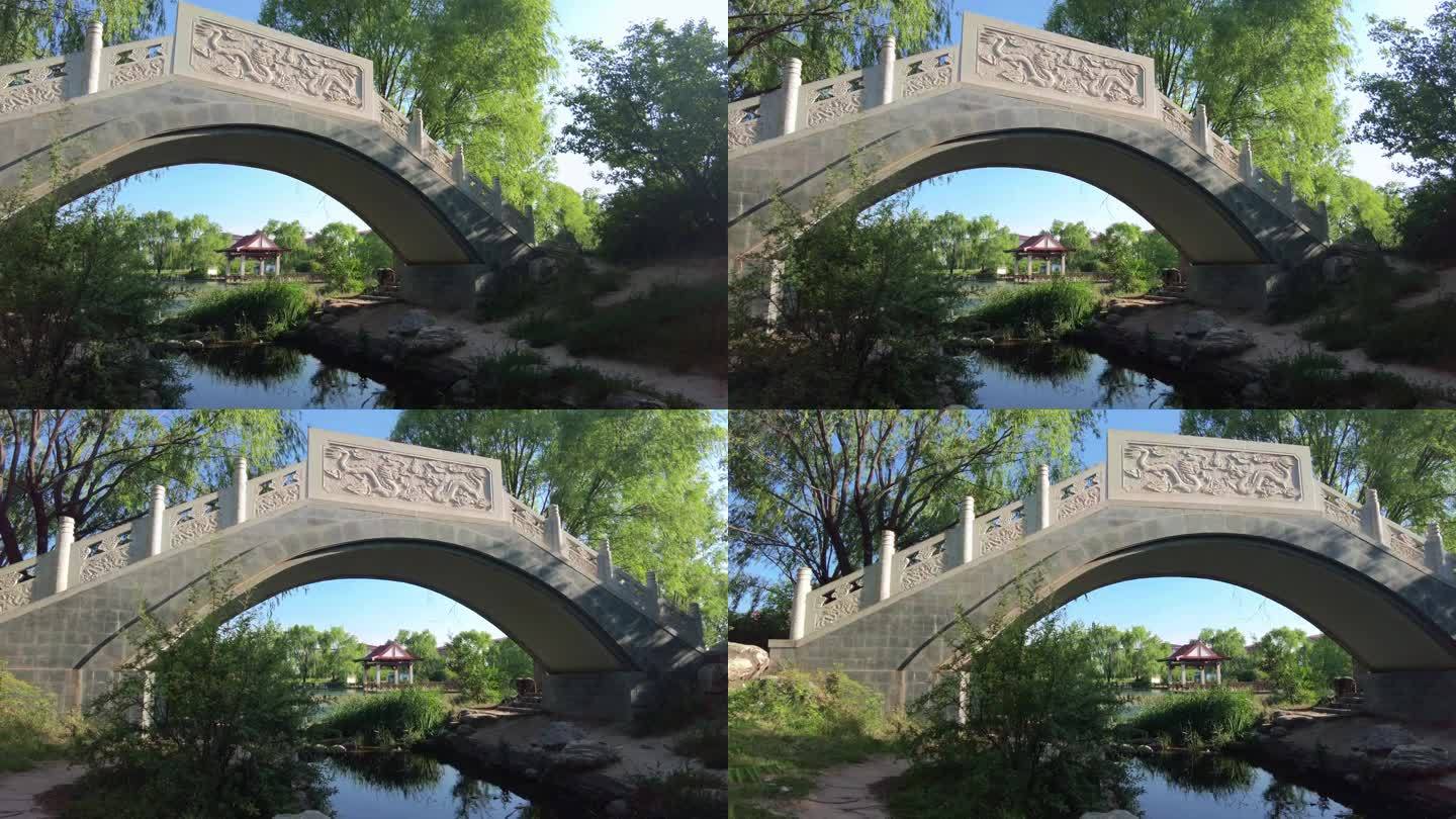 拱桥 公园 水 绿化