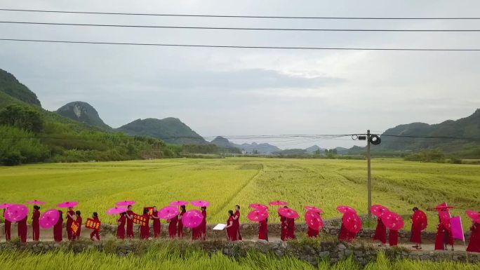 乡村振兴 美丽乡村 秋收 张灯结彩 航拍