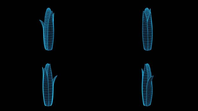 蓝色全息玉米素材带通道