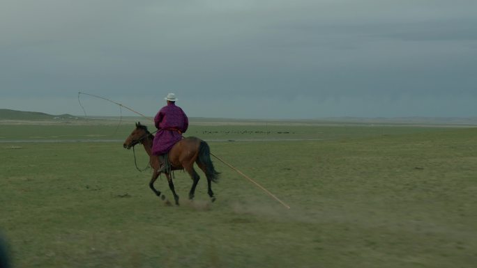 草原 骑马奔跑 内蒙古汉子
