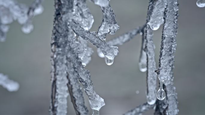 水春春天冰冰雪融化水滴滴水融化雪消融冰川