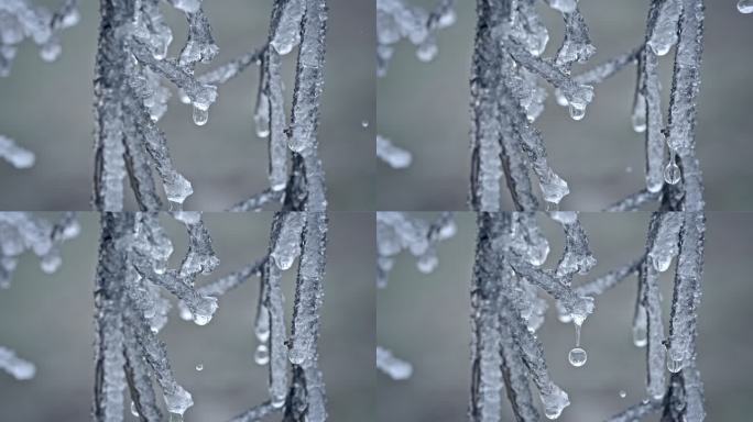 水春春天冰冰雪融化水滴滴水融化雪消融冰川