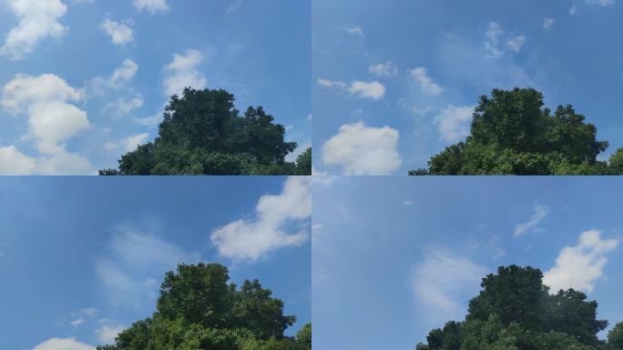 树木为背景6月17号天空延时摄影下午3点
