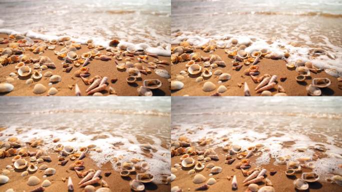 海边海浪沙滩贝壳