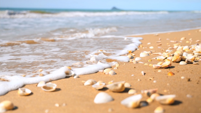 夏天海边阳光沙滩贝壳唯美空境