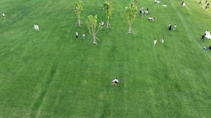 4K原素材-航拍绿色草地上休闲的市民
