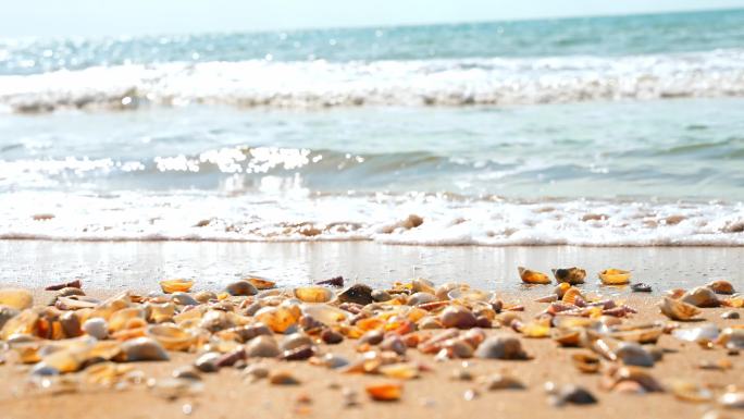 海边海浪沙滩贝壳